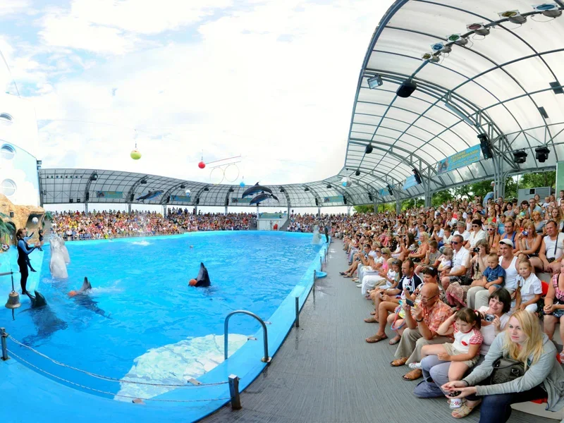 Dolphinarium Nemo